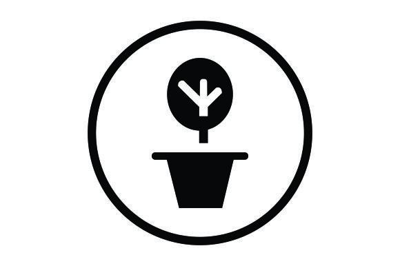 Decorative Plant