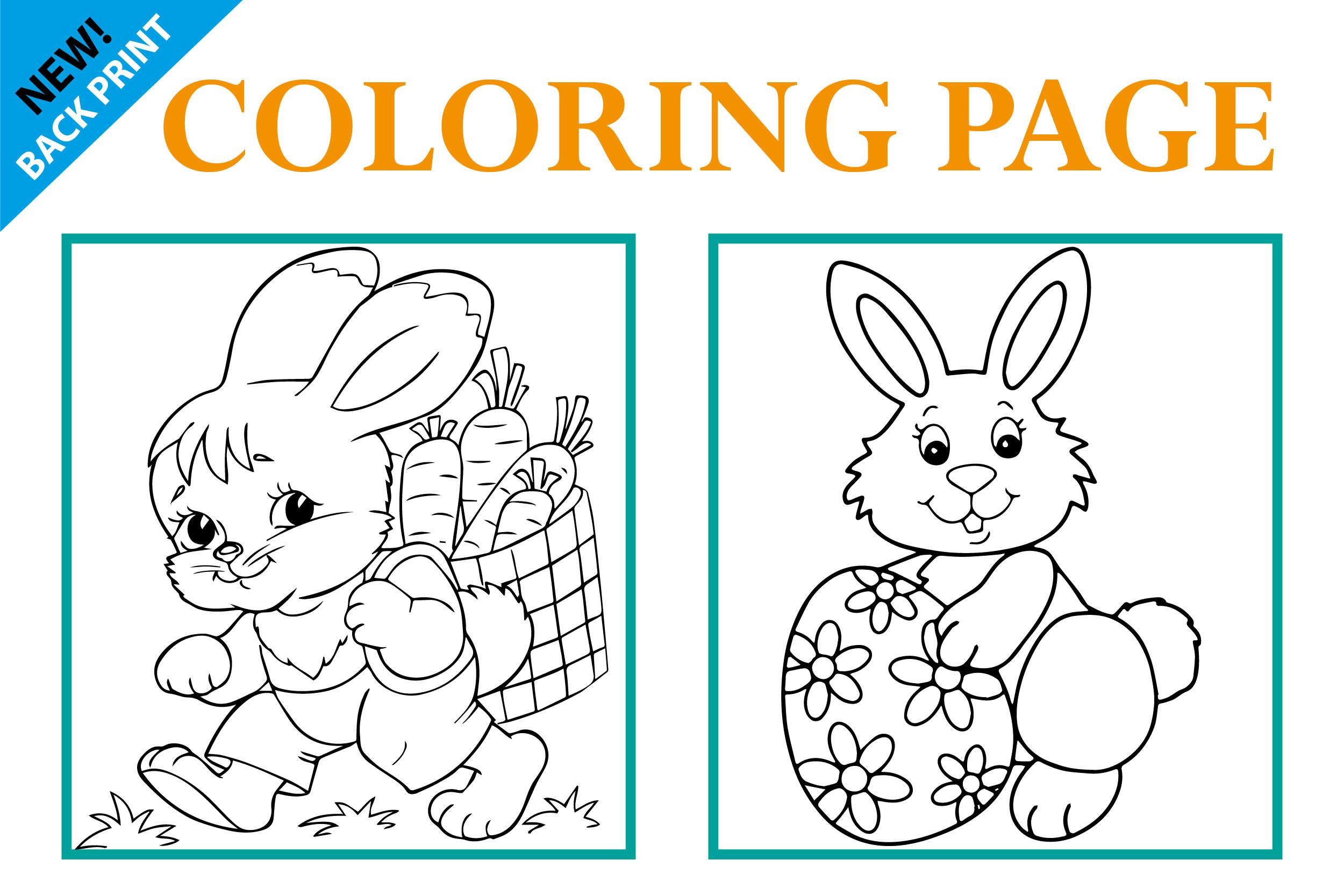 Rabbit Coloring Book for Kid