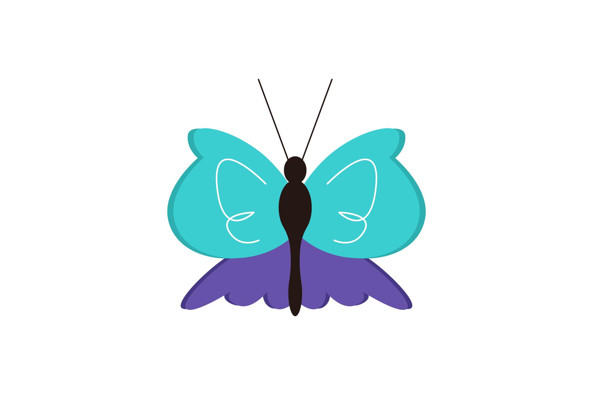 Summer Butterfly Nature