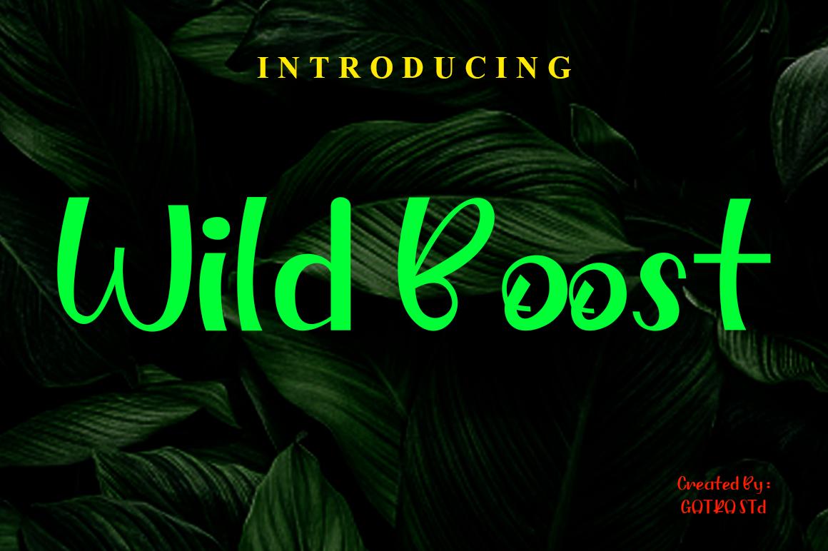 Wild Boost Font
