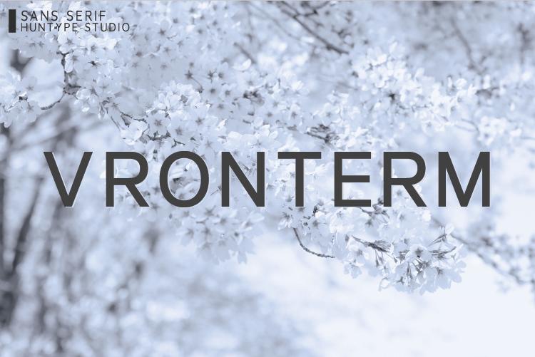 Vronterm Font