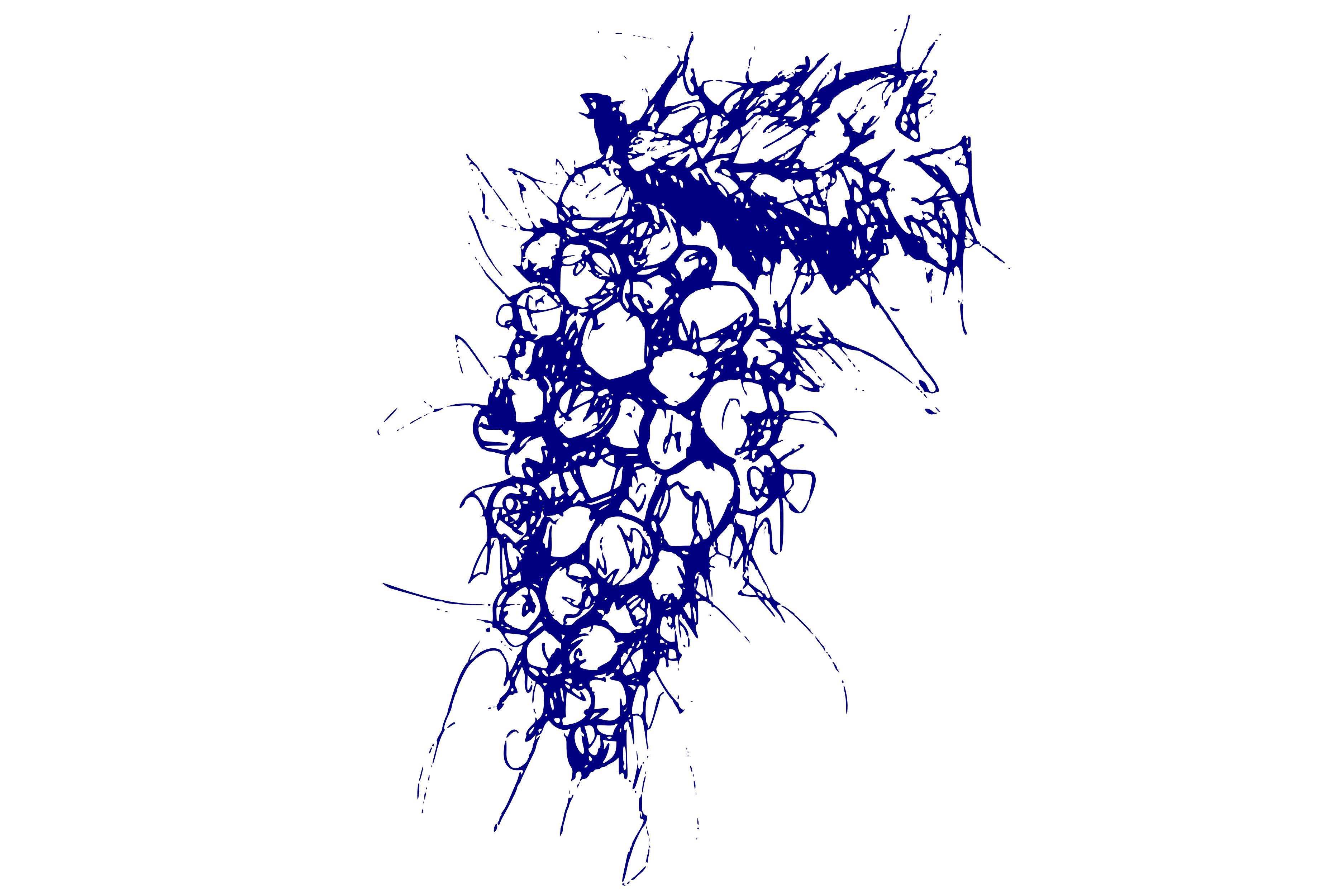 Grape Scribble Art