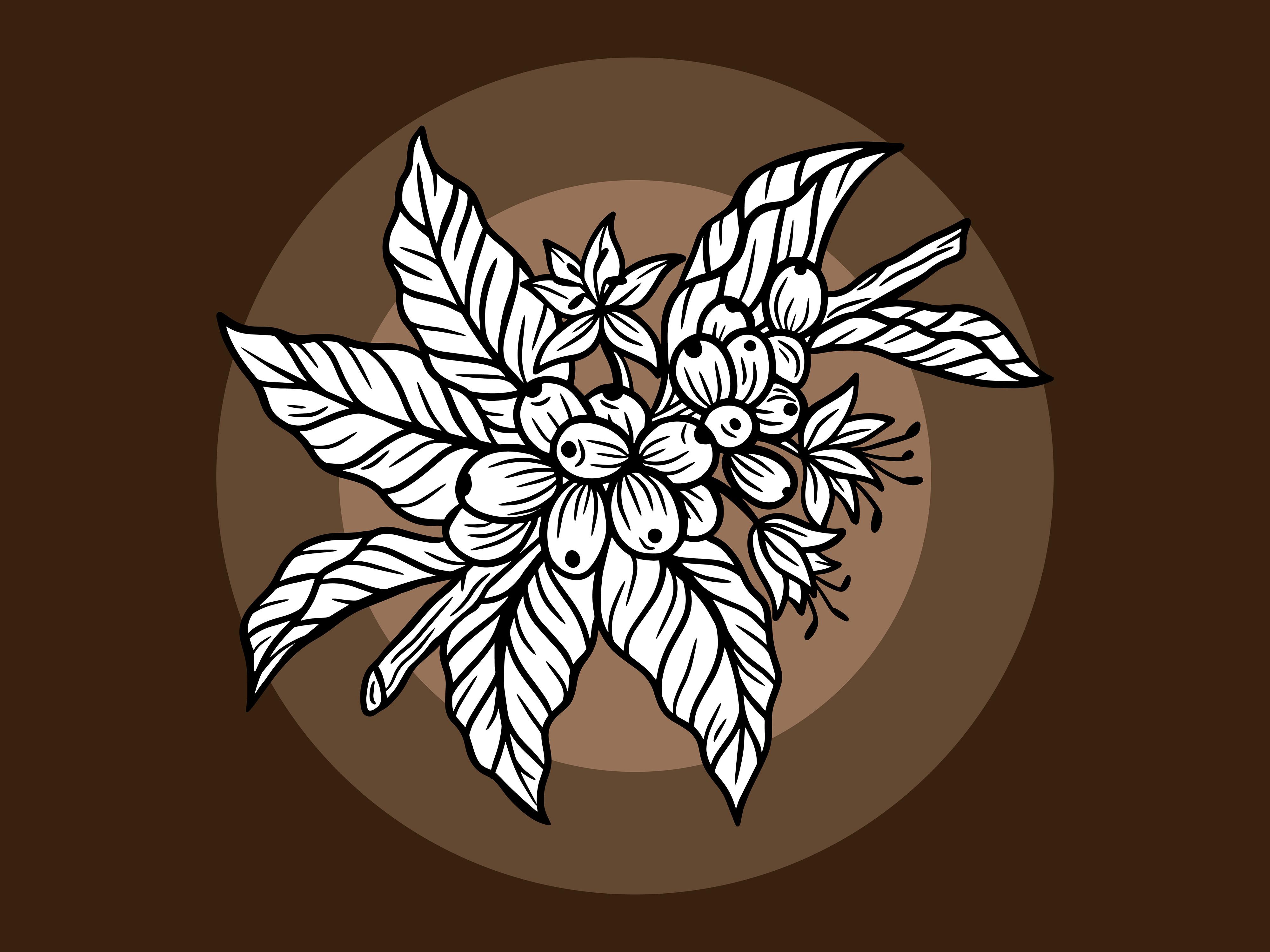 Set Leaf Tree Coffee Beans Nature