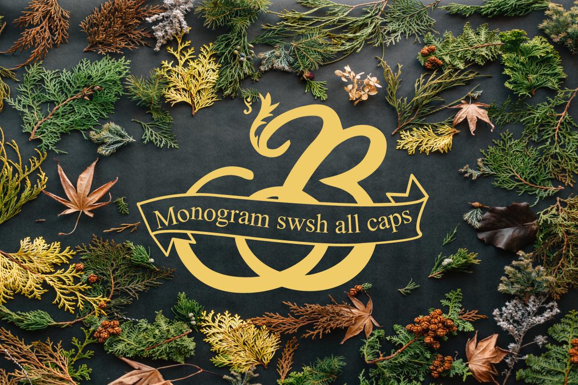 Monogram Swsh Font