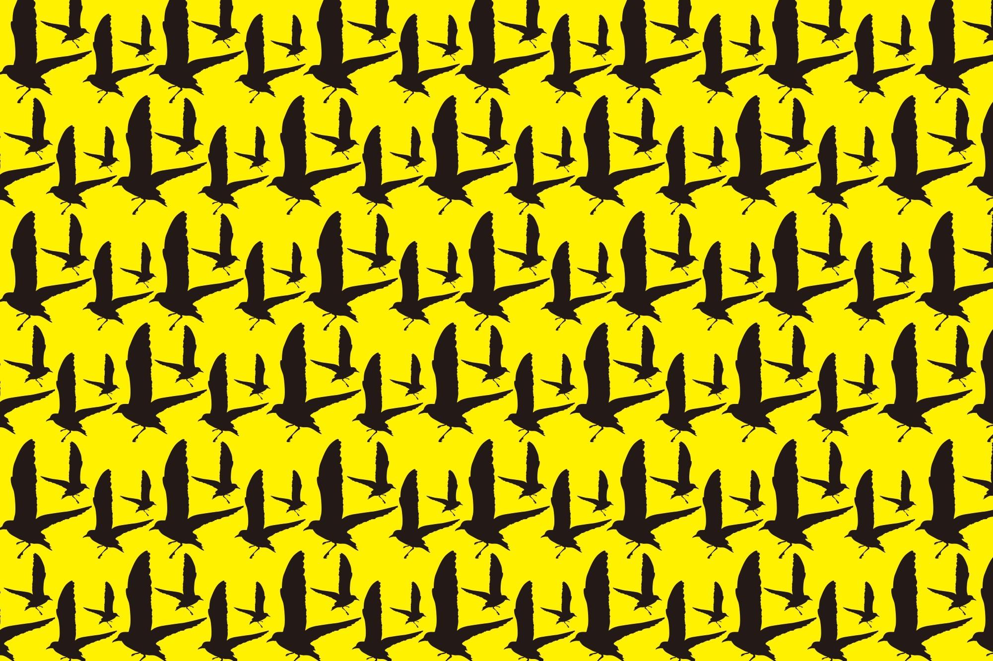 Bird Silhouette Pattern