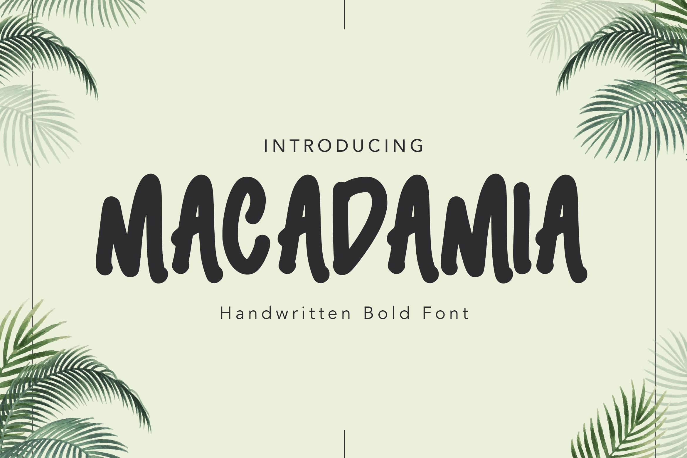 Macadamia Font