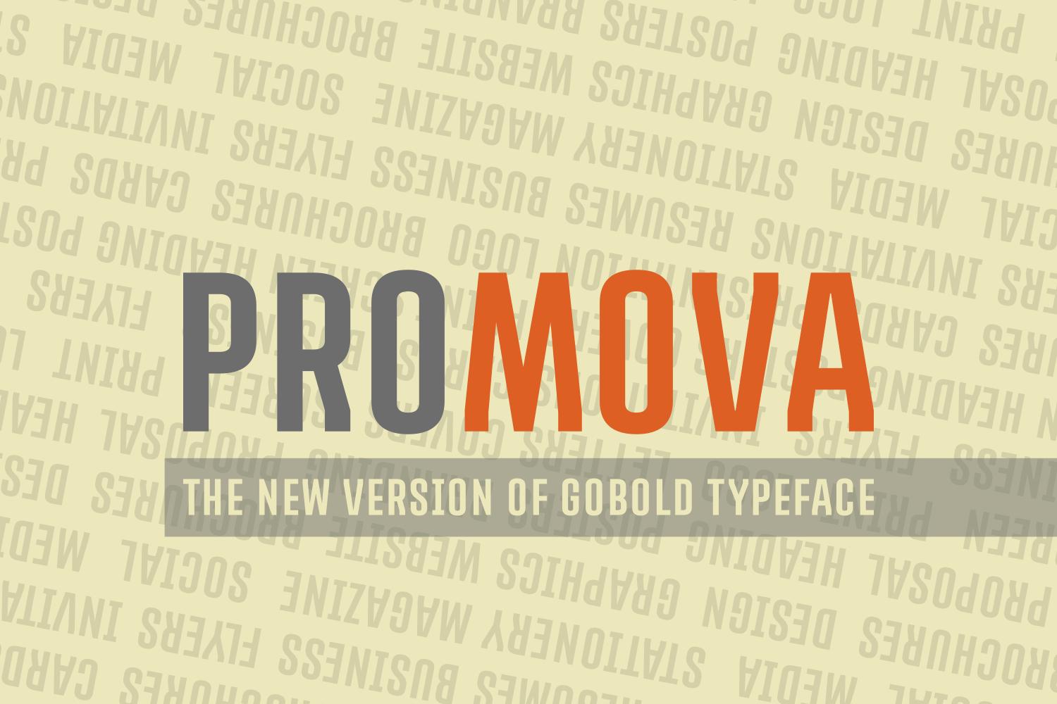 Promova Font