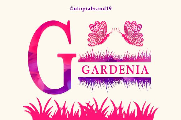 Gardenia Font