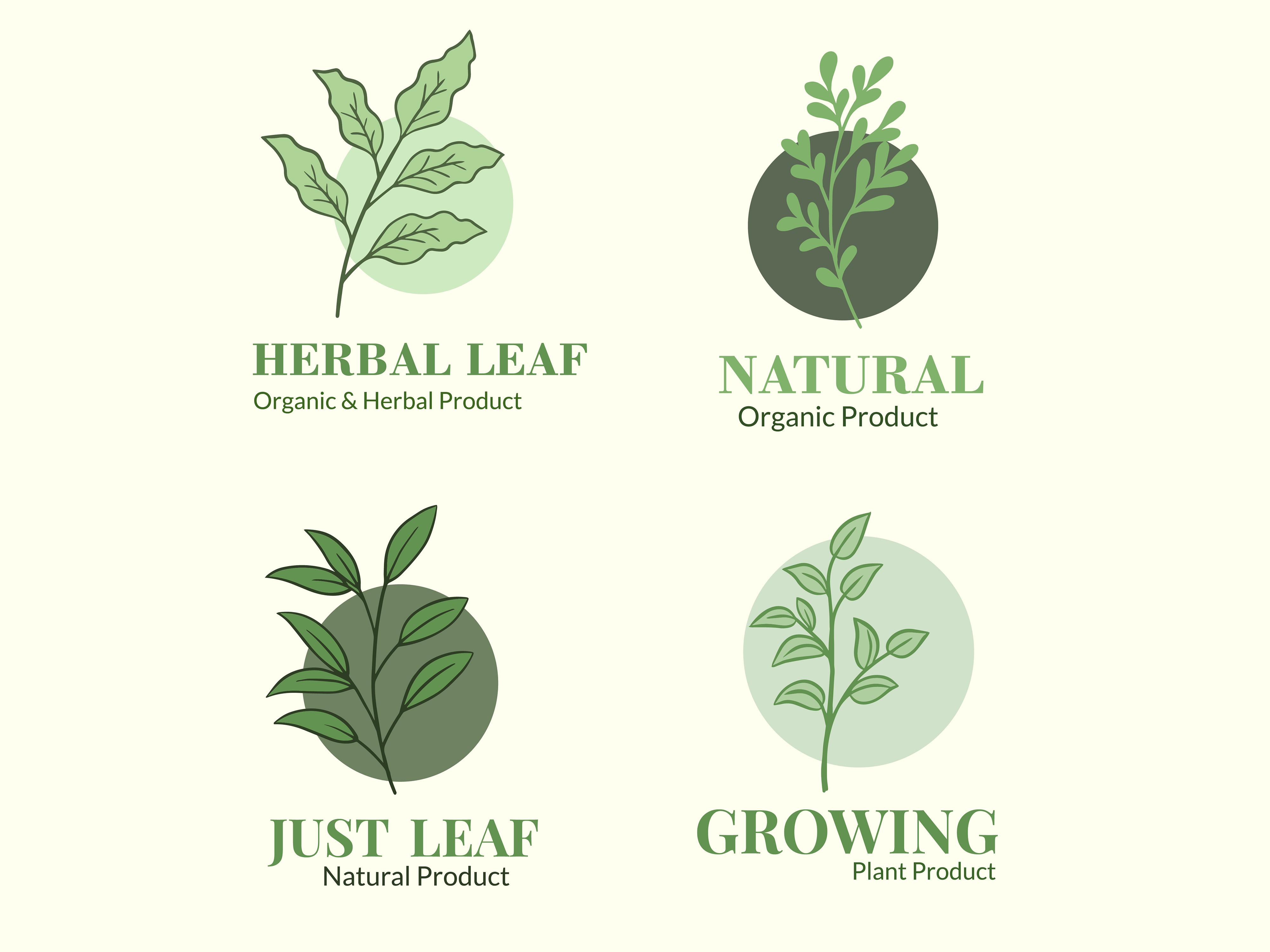 Set Leaf Tree Plant Nature Botanical