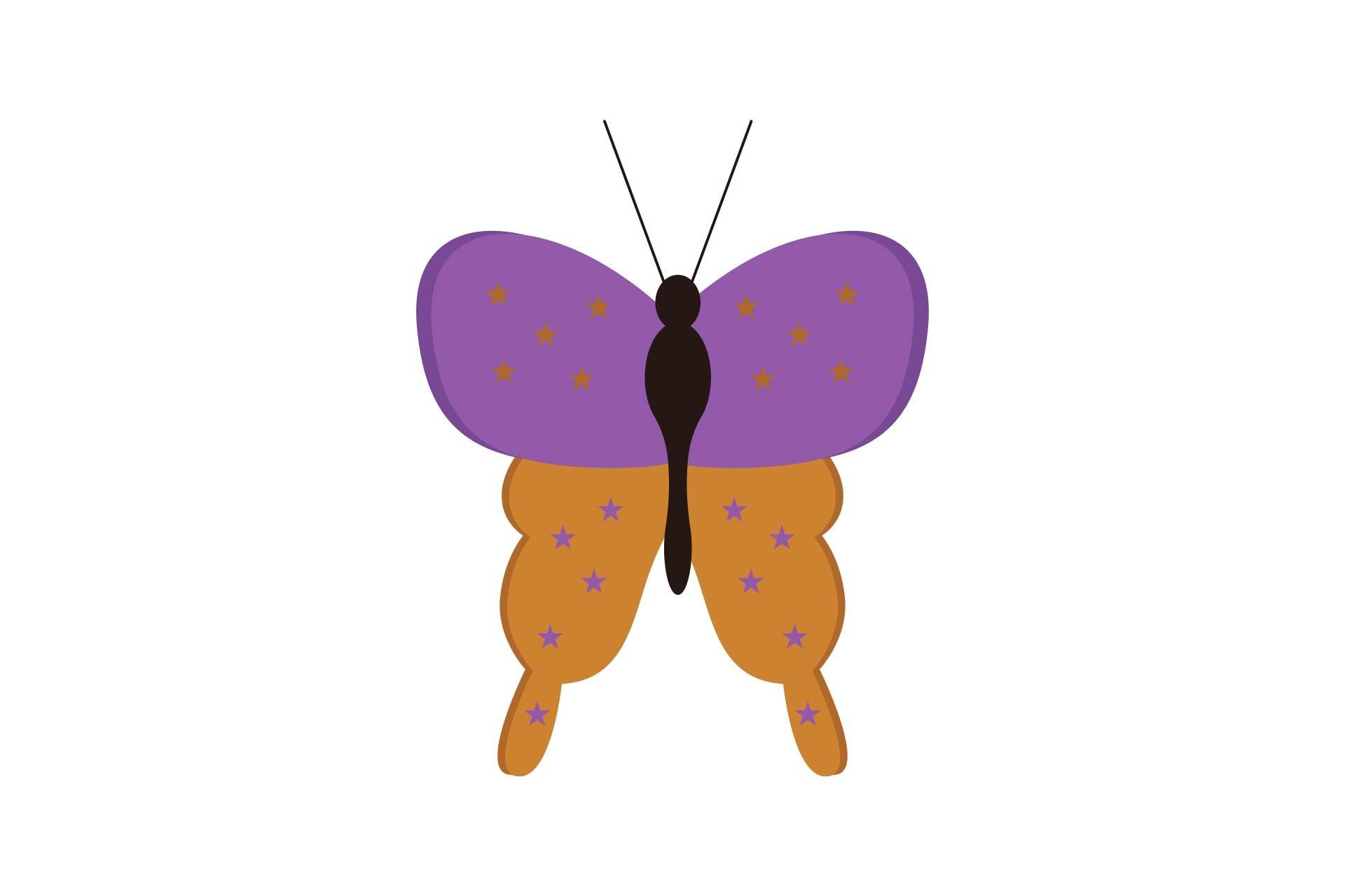 Summer Butterfly Nature