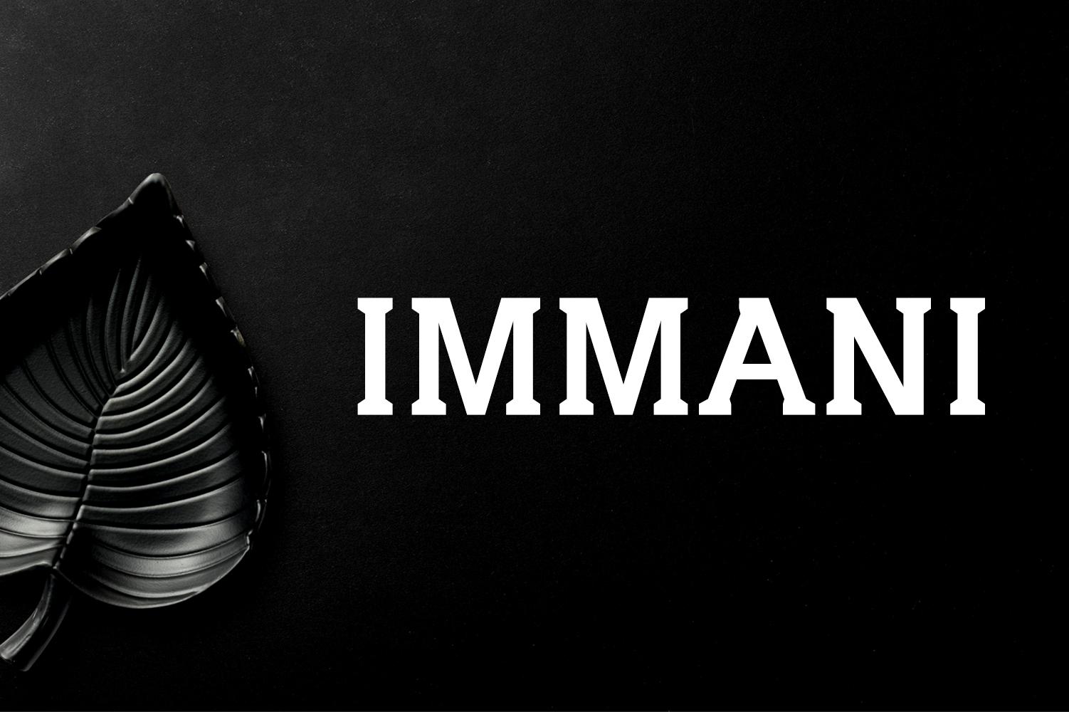 Immani Serif Font