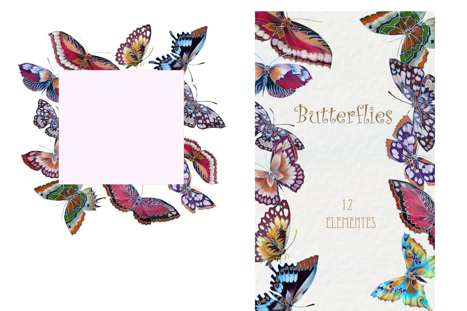 Butterfly Illustrations