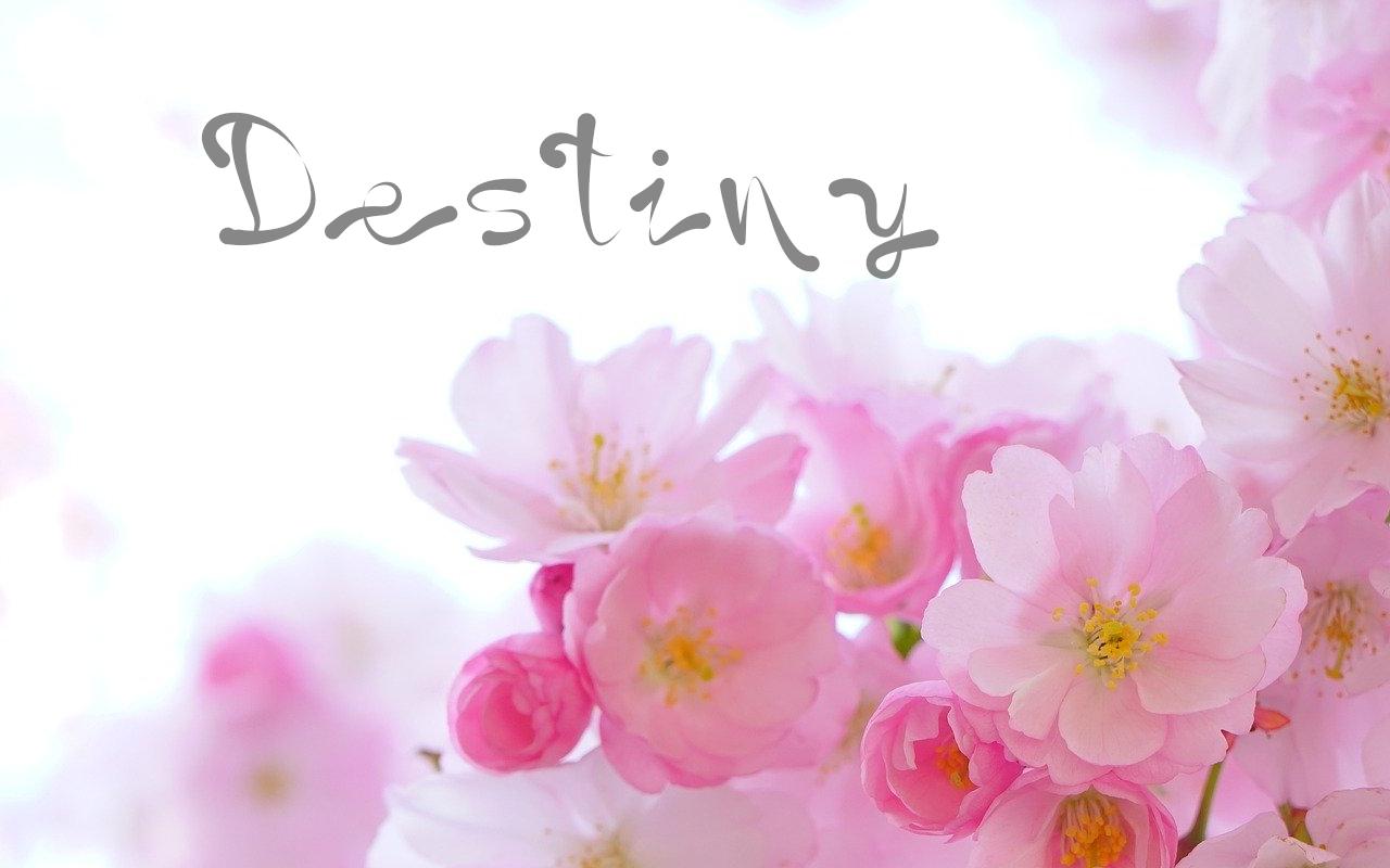 Destiny Font