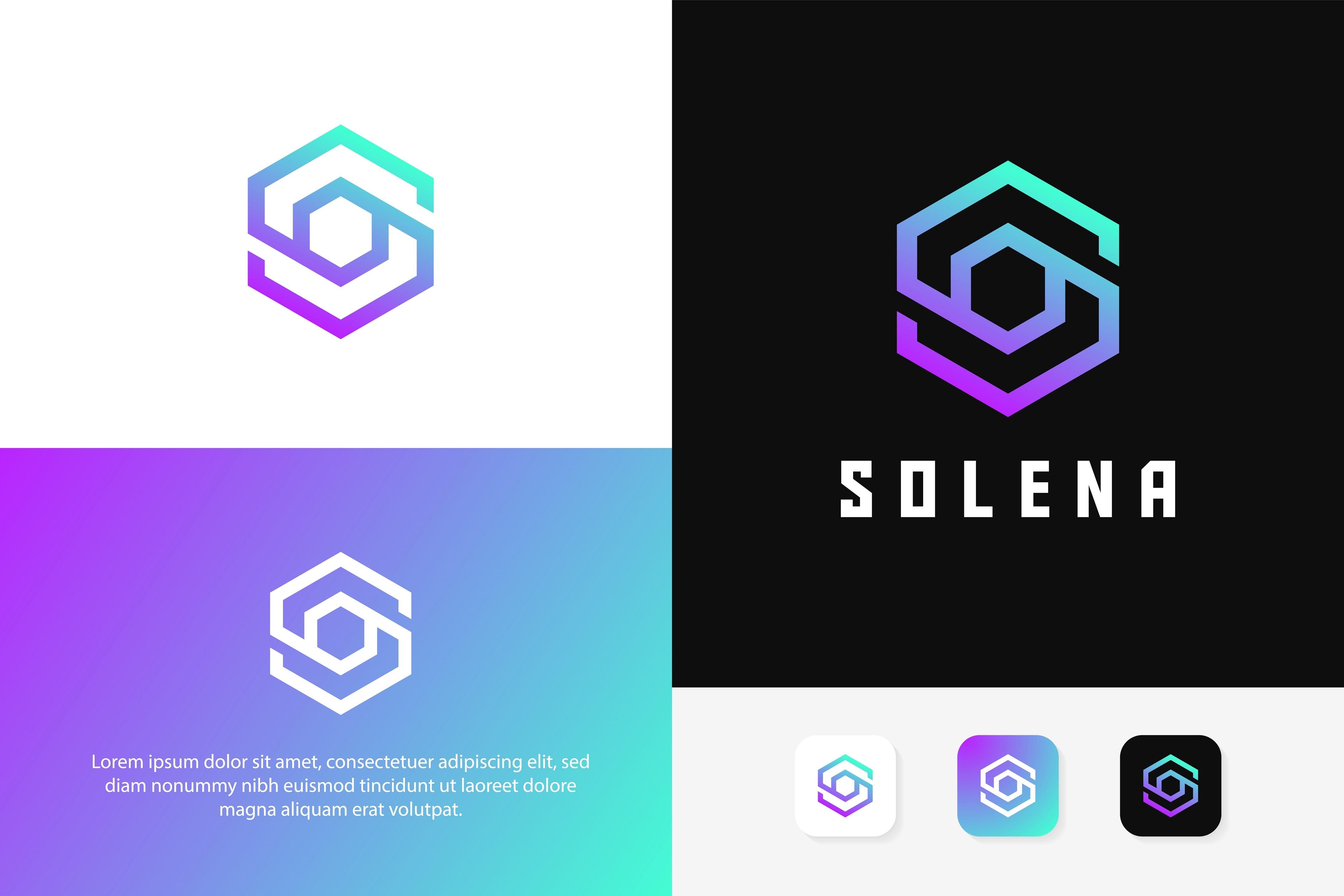 Hexagonal with Letter S Abstract Logo