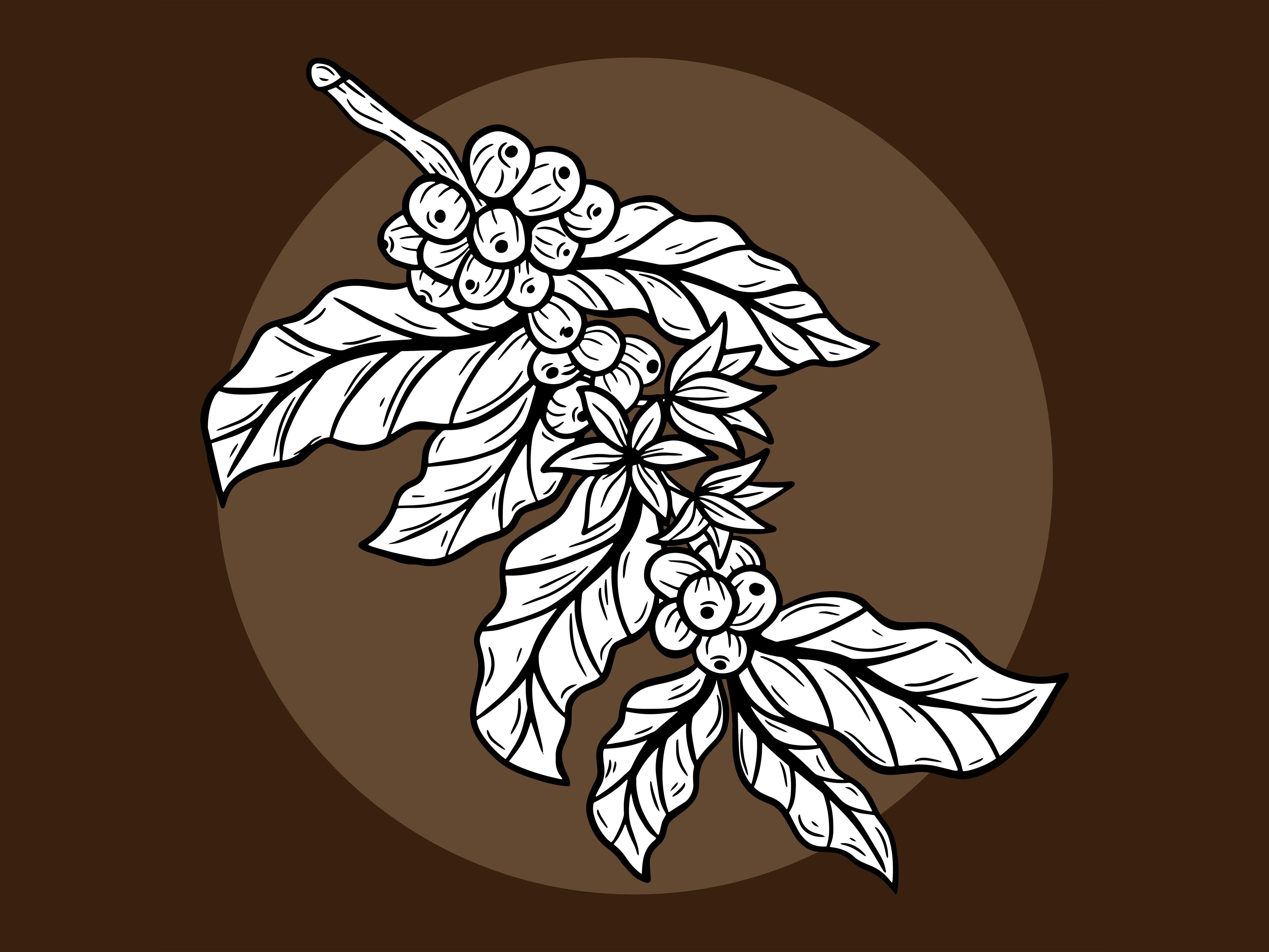 Set Leaf Tree Coffee Beans Nature