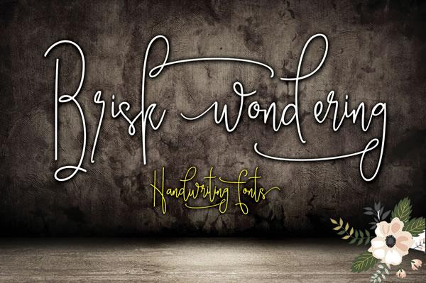 Brisk Wondering Font