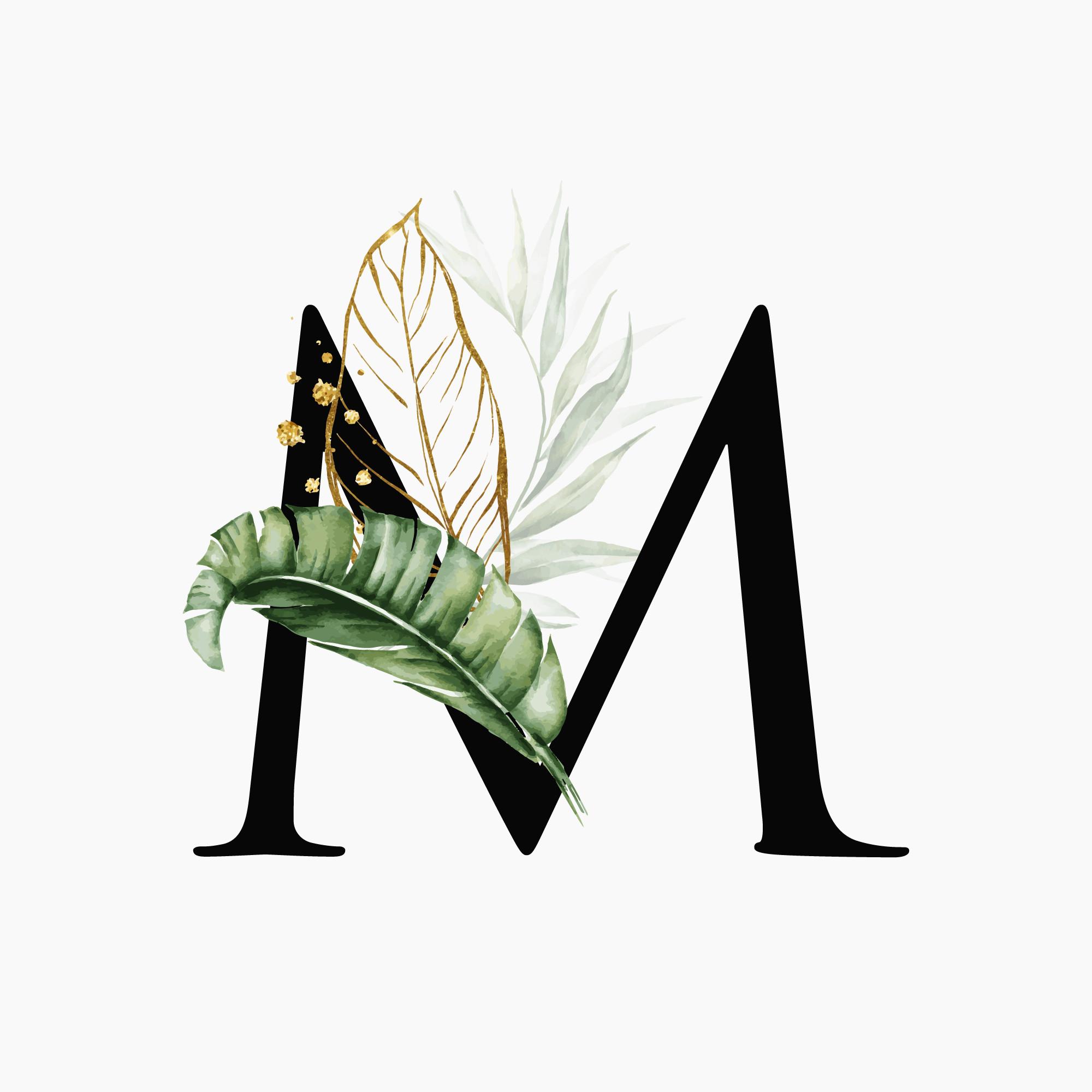Mehwishgraphics
