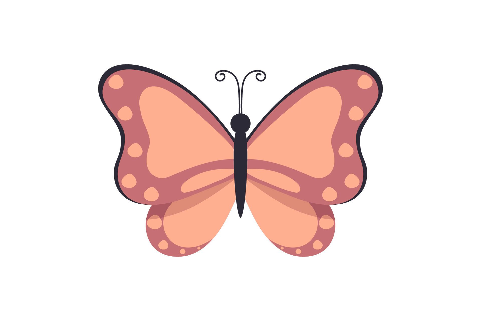 Butterfly Beauty