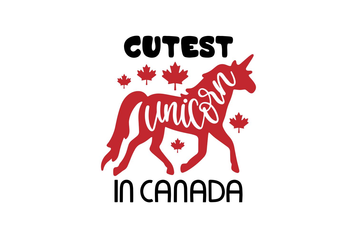 Cutest Unicorn in Canada