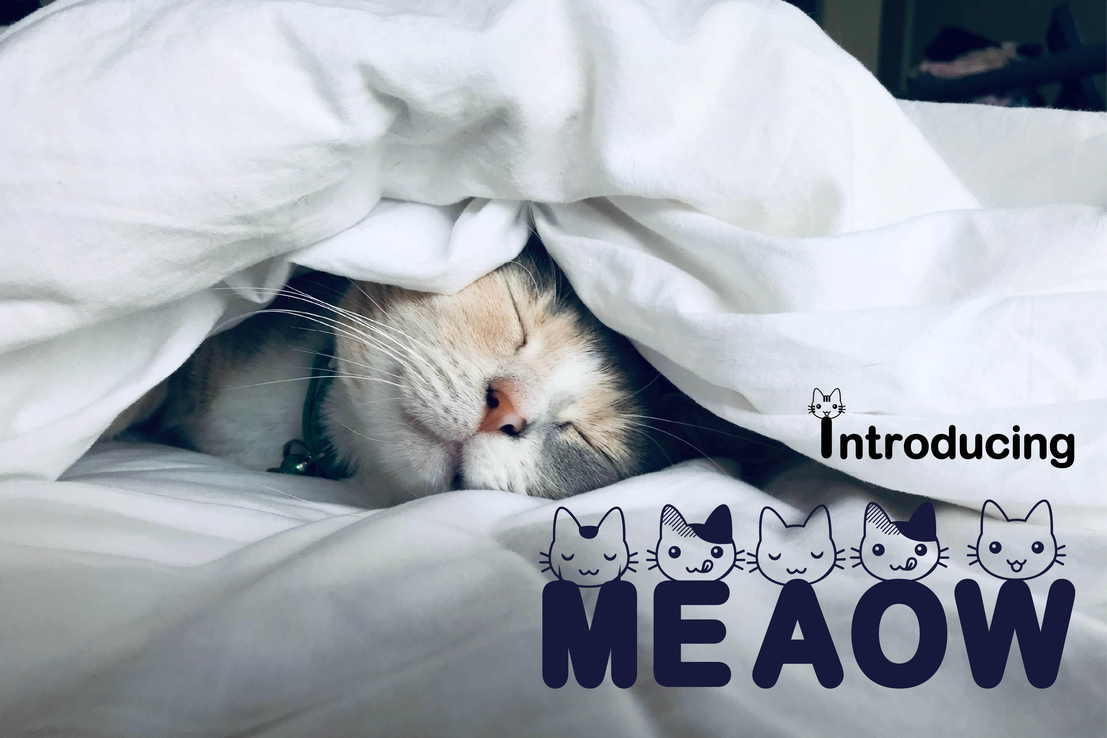 Meaow Font