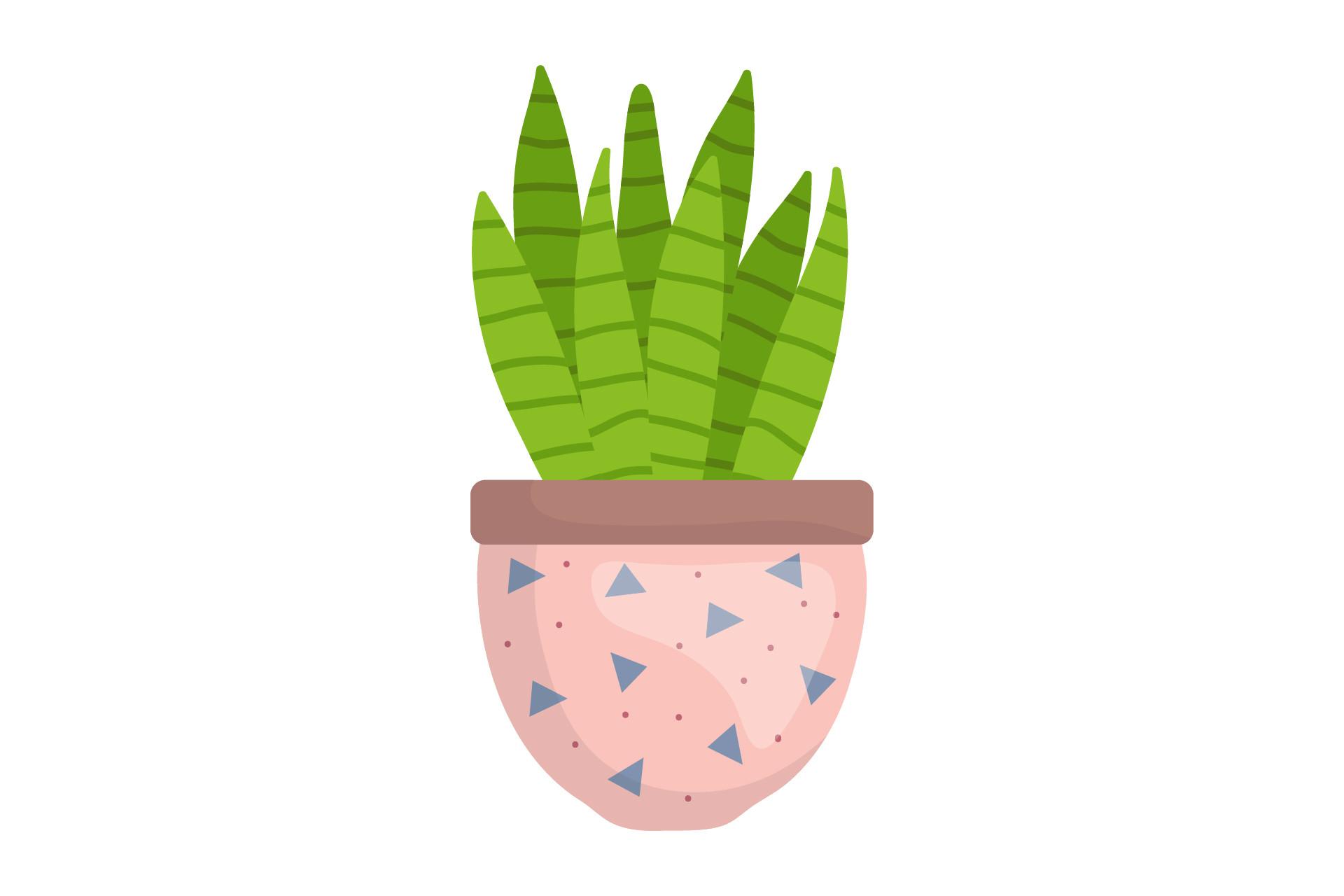 Plant Botany Garden