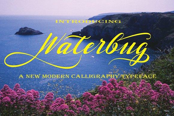 Waterbug Font