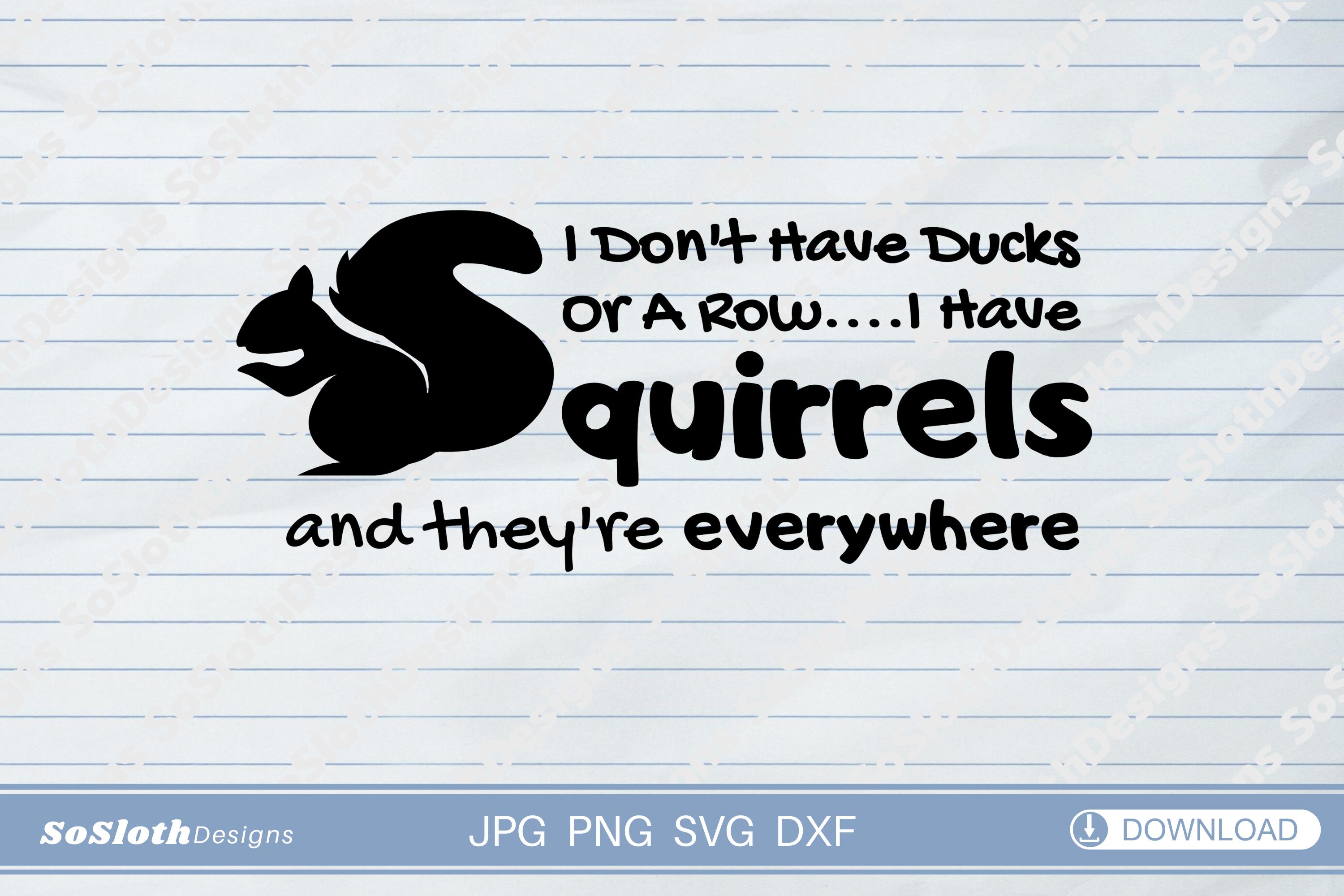 I Don't Have Ducks or a Row