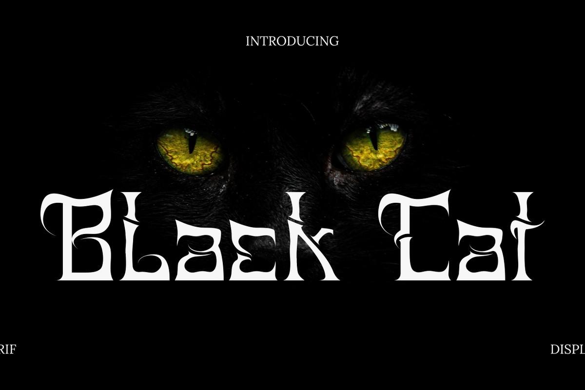 Black Cat Font
