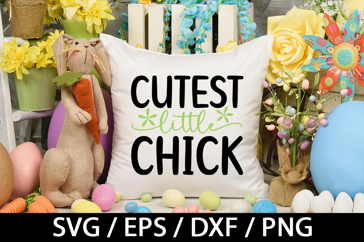 Cutest Little Chick