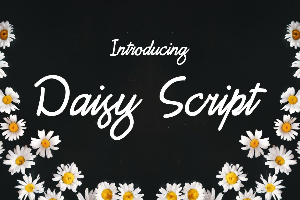 Daisy Script Font