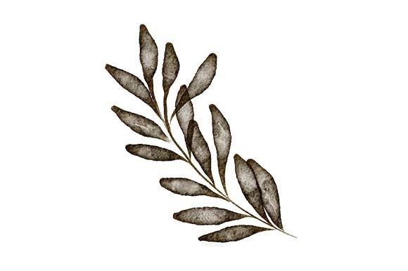 Watercolor Leaf Foliage Paint Element