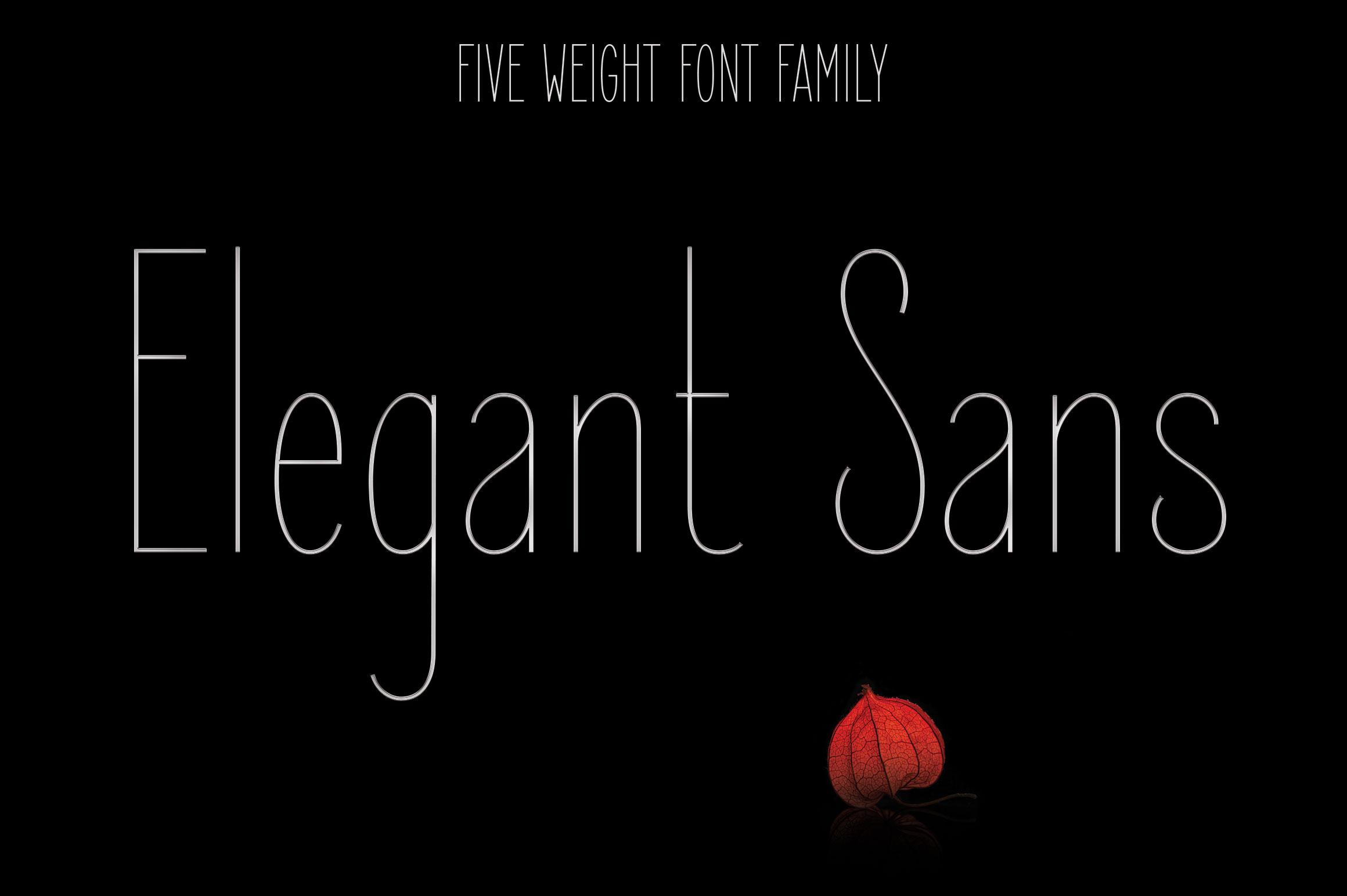 Elegant Sans Font