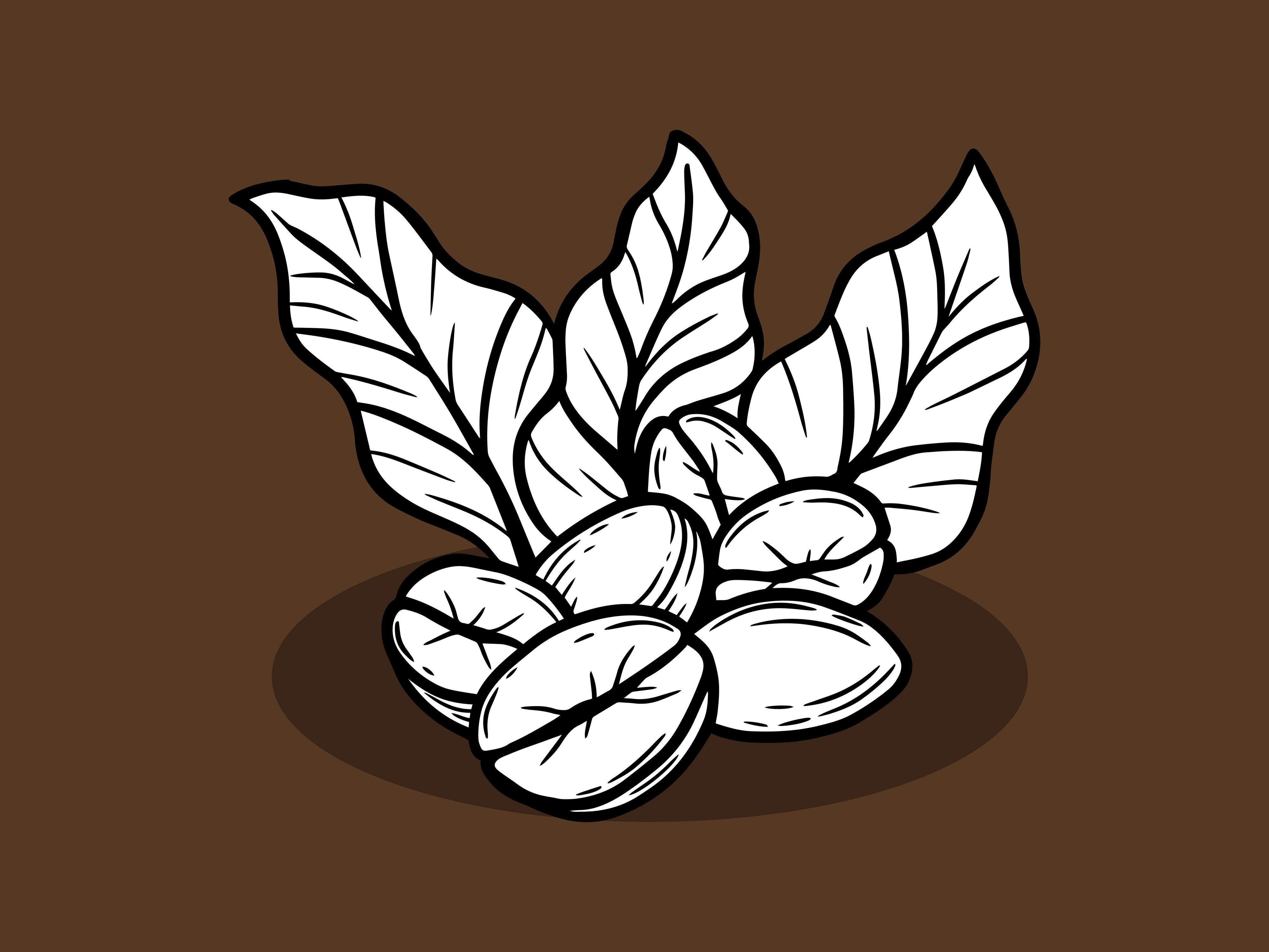 Set Leaf Tree Coffee Beans Nature