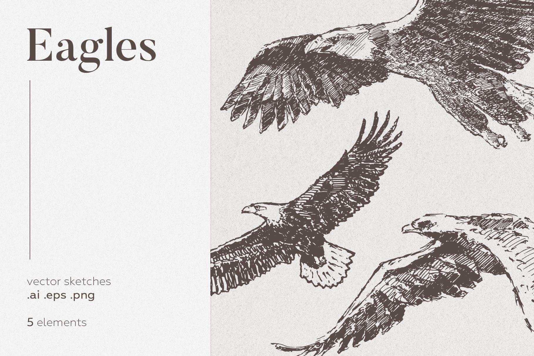 Collection of Eagles Drawings