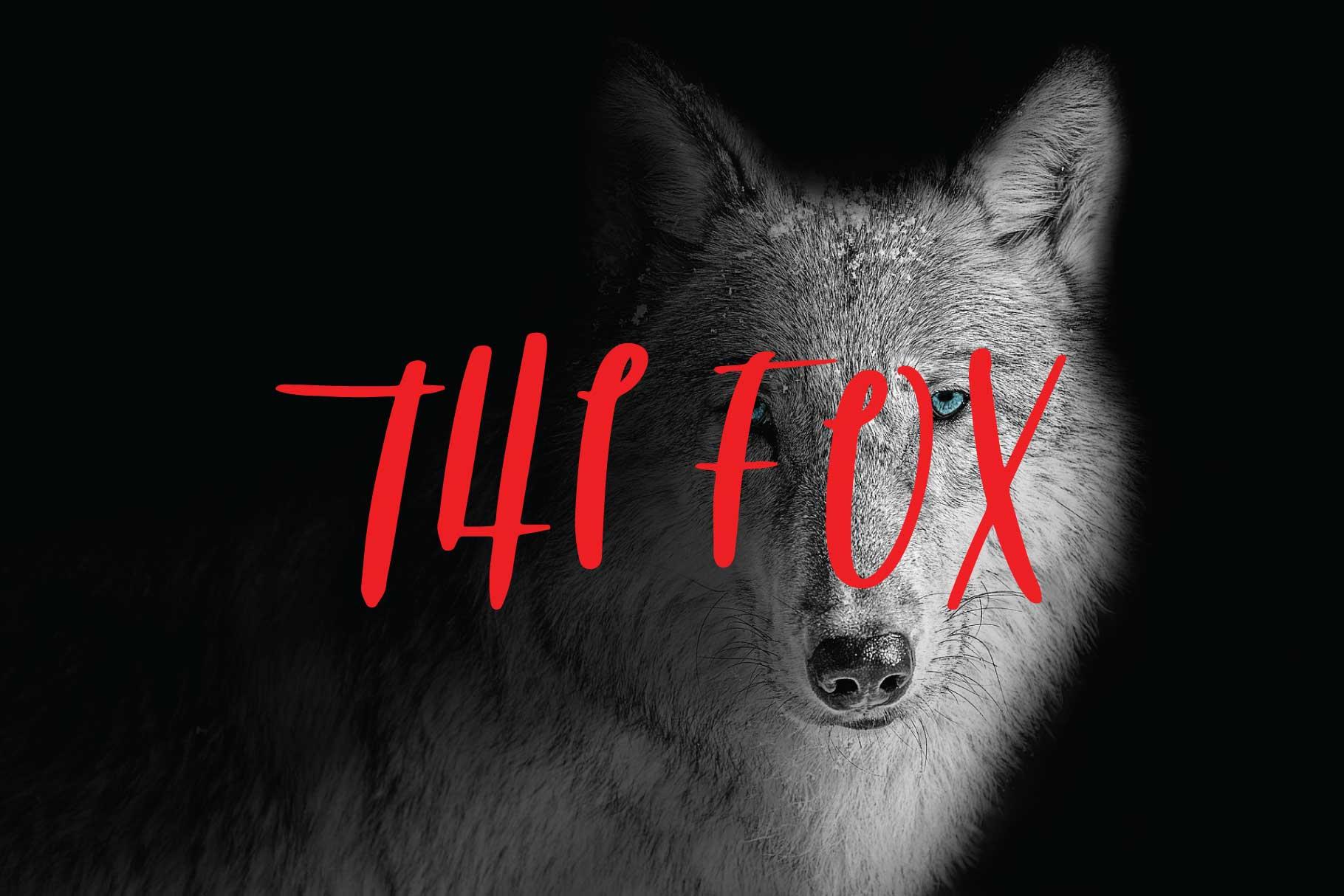 The Fox Font