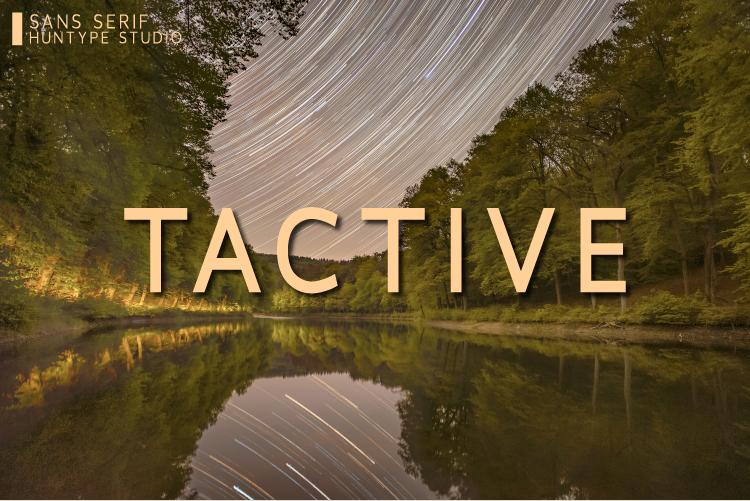 Tactive Font