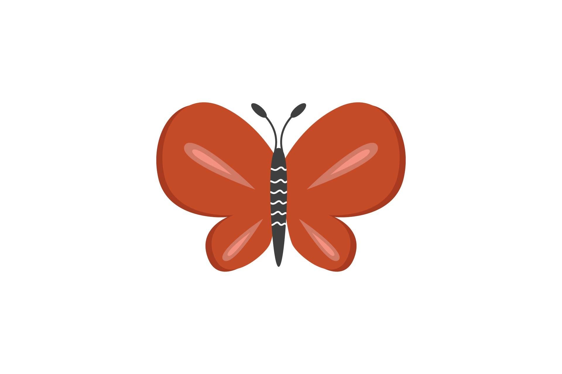 Summer Butterfly Nature