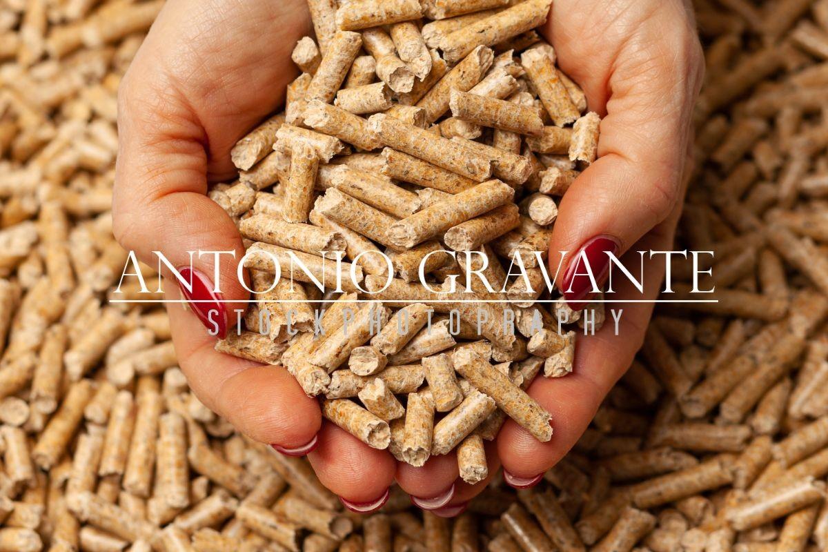 Wood Pellets in Hands