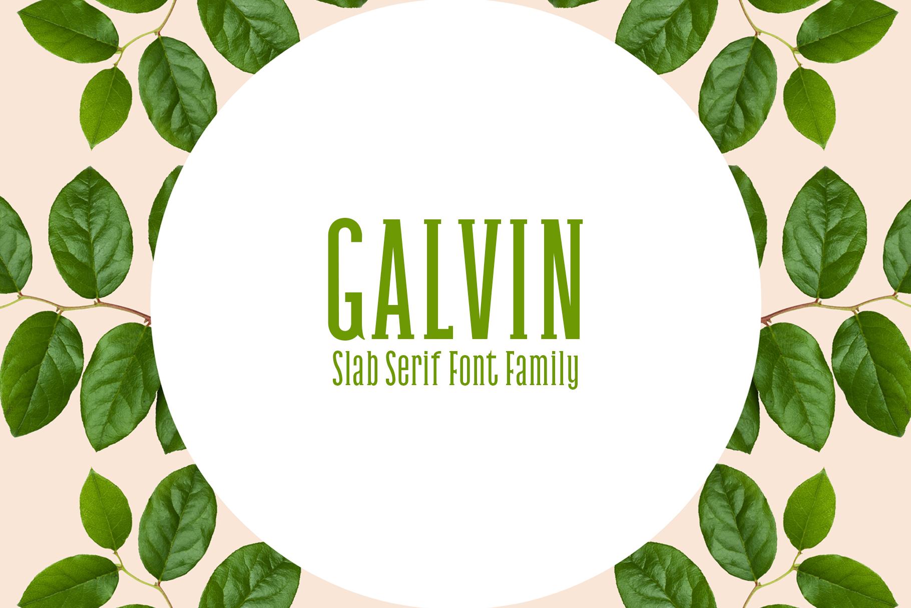 Galvin Family Pack Font