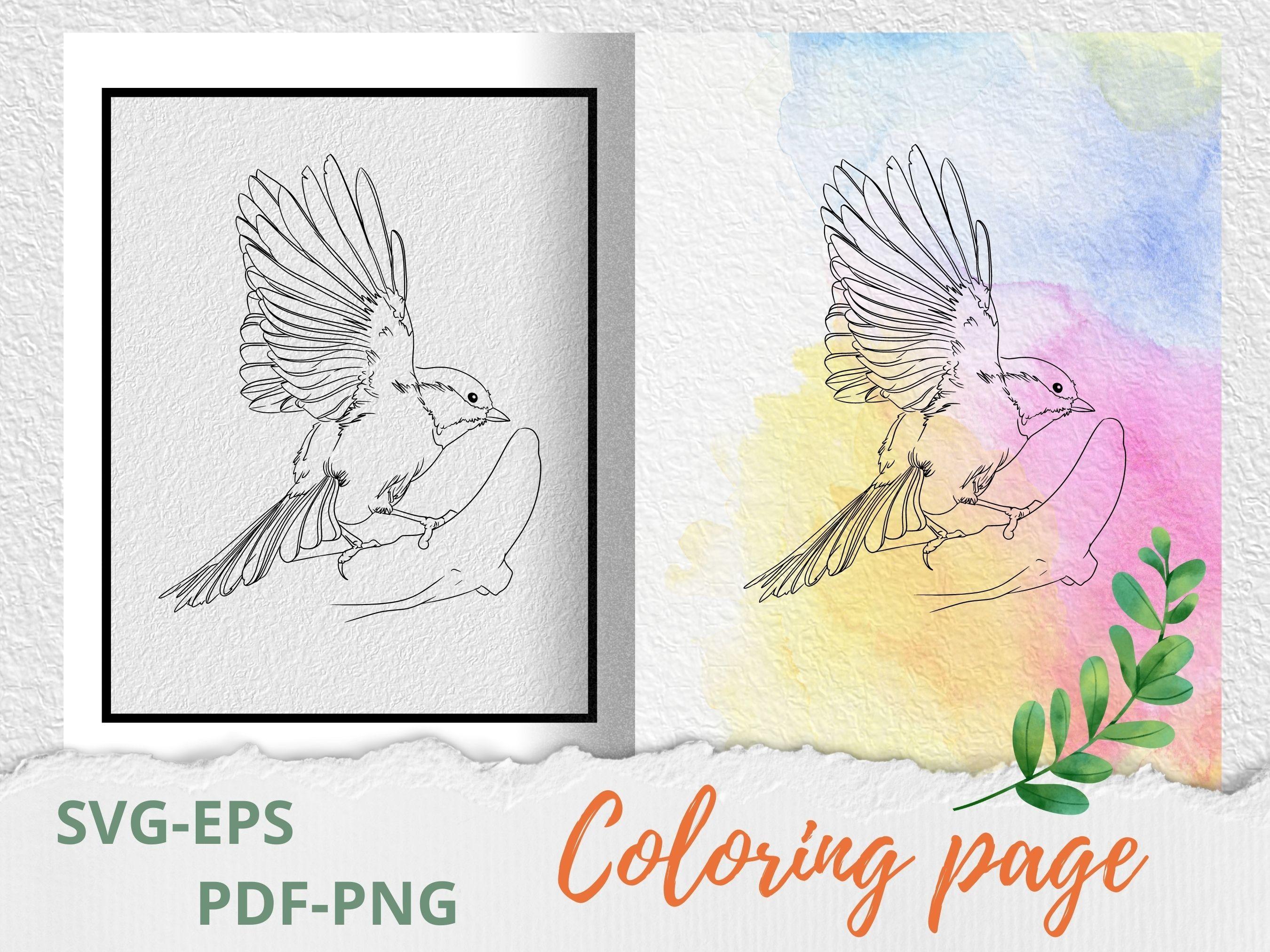 Bird Coloring Page SVG-Tattoo Stencil