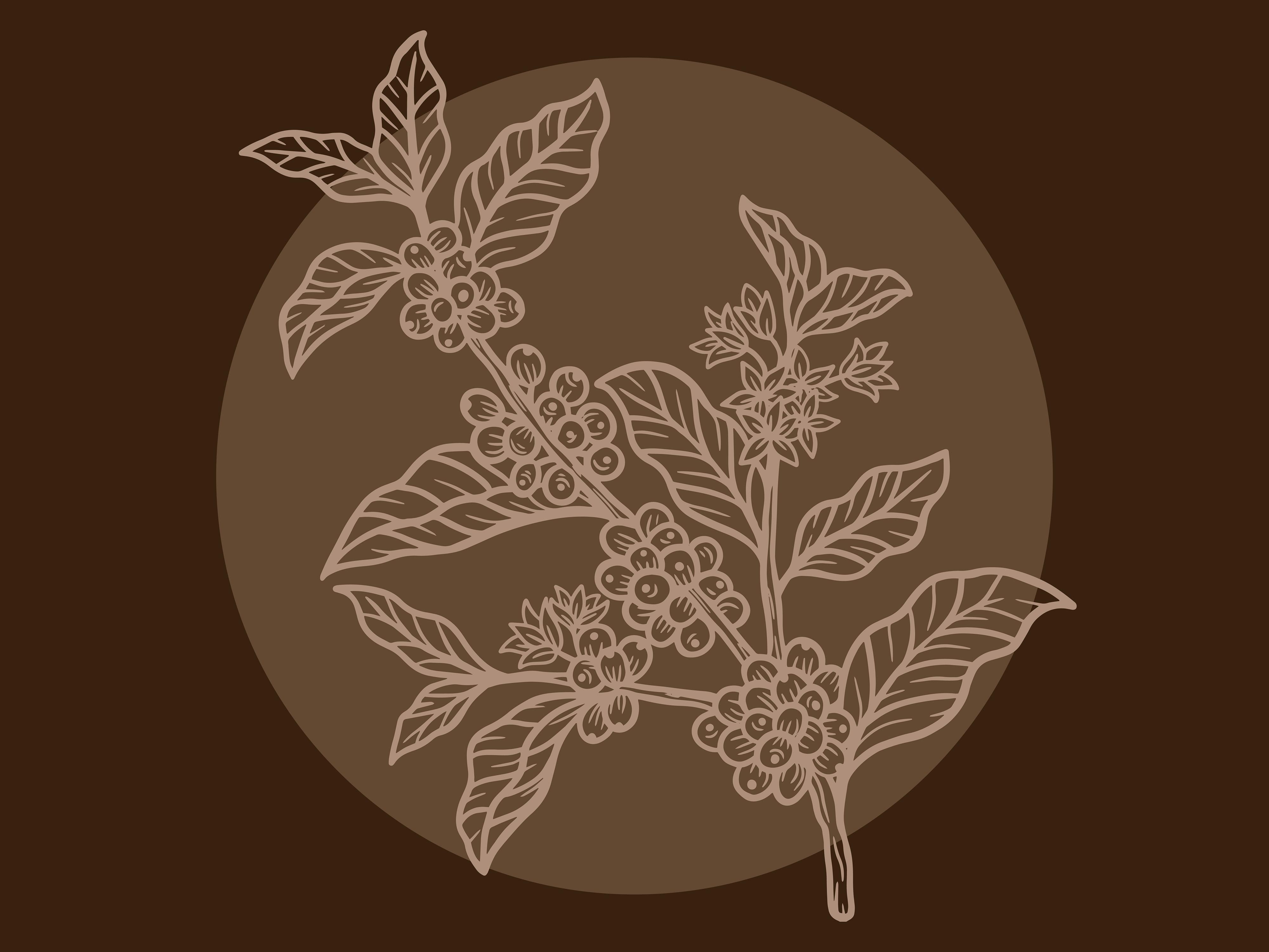 Set Leaf Tree Coffee Beans Nature