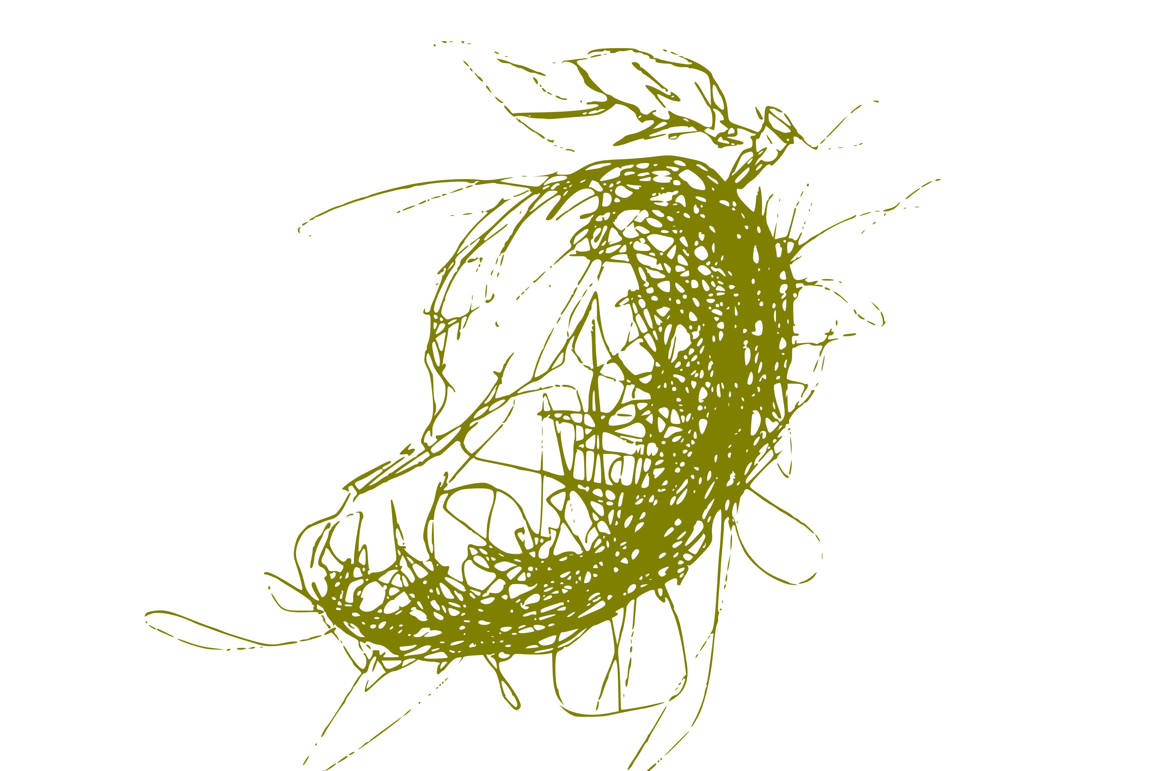Mango Scribble Art