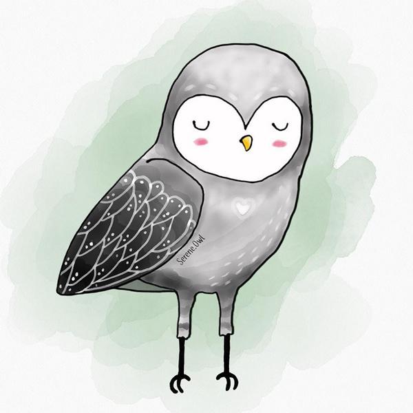 sereneowl