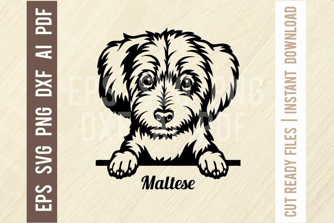 Maltese Peeking Dog - Cut SVG Stencil