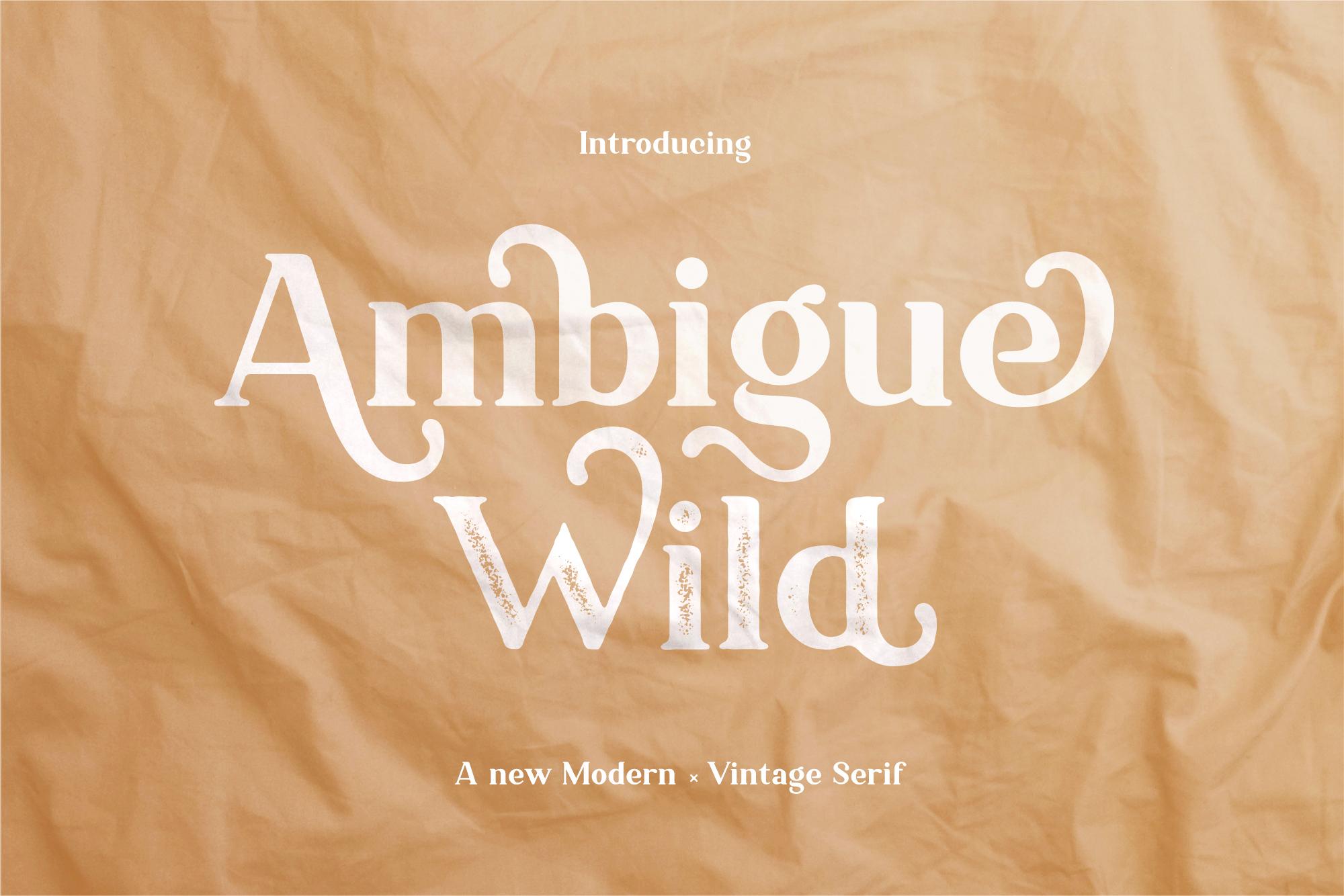 Ambigue Wild Font