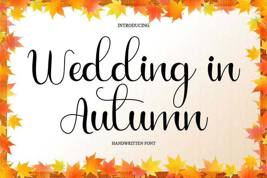 Wedding in Autumn Font