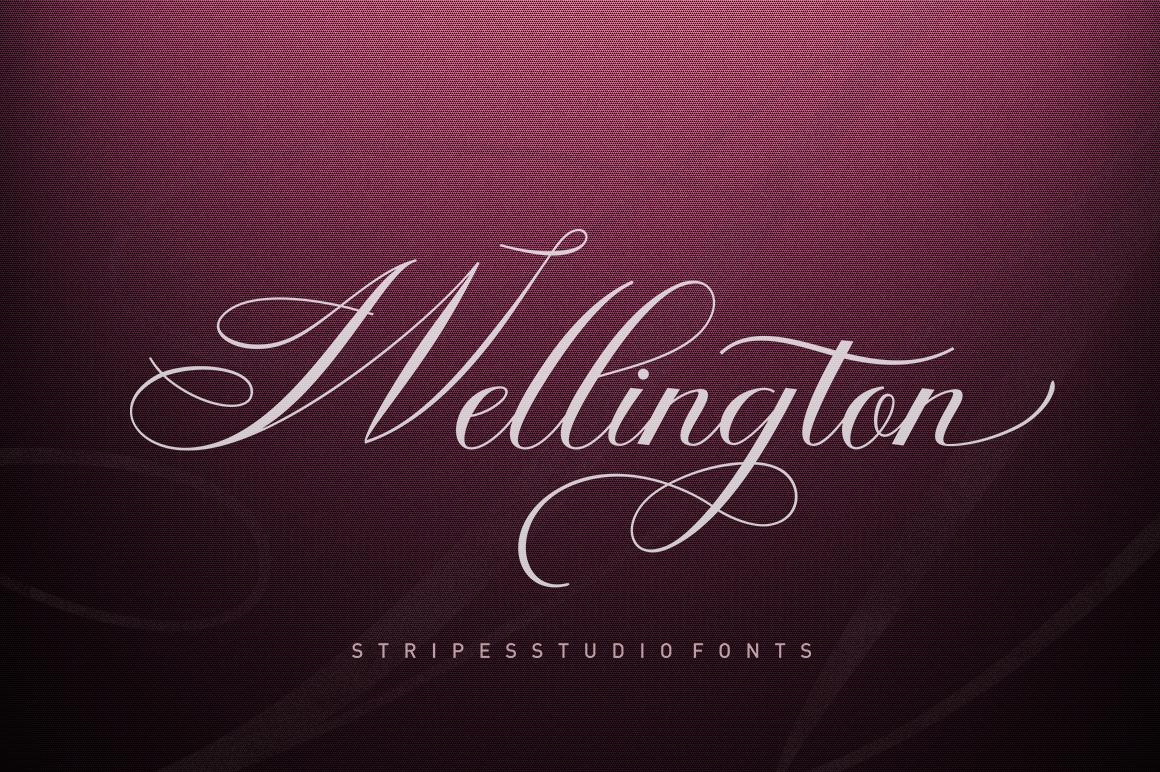 Wellington Script Font