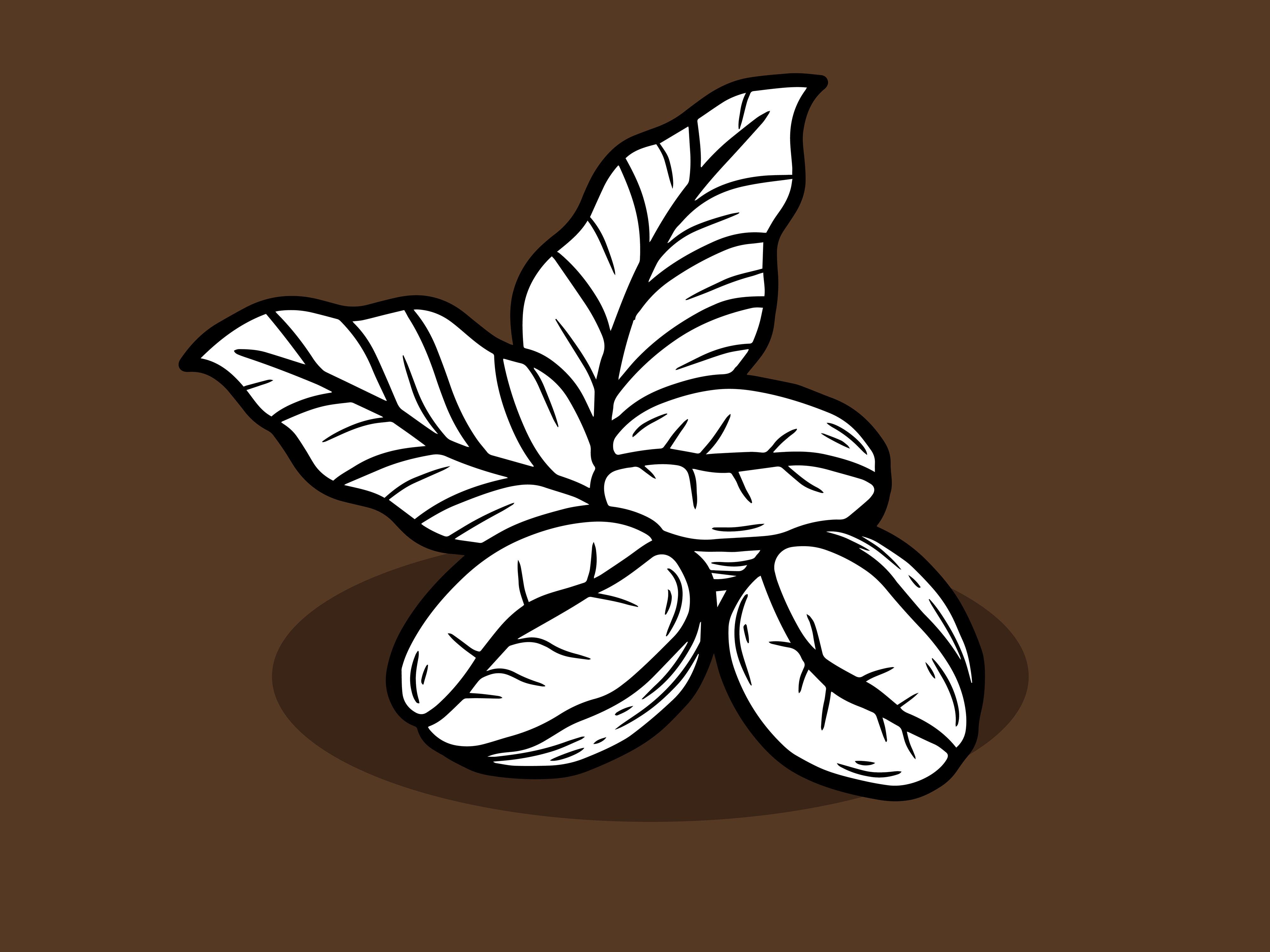 Set Leaf Tree Coffee Beans Nature