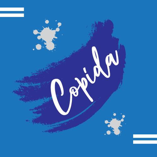 Copida