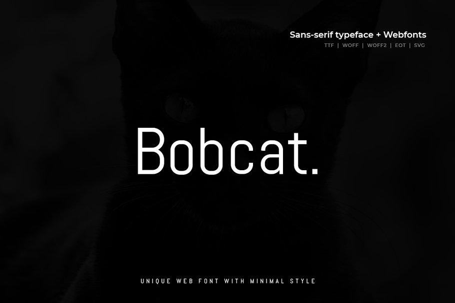 Bobcat Font